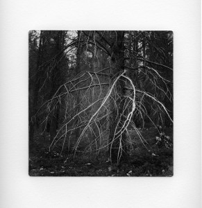 Sticks and Stones 17 